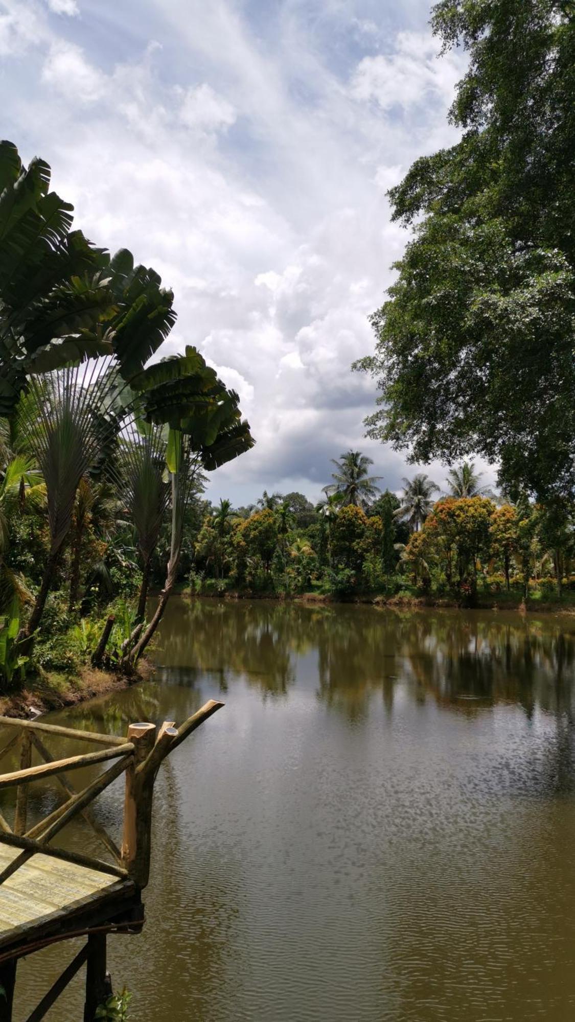 Sepilok Jungle Resort Exterior photo