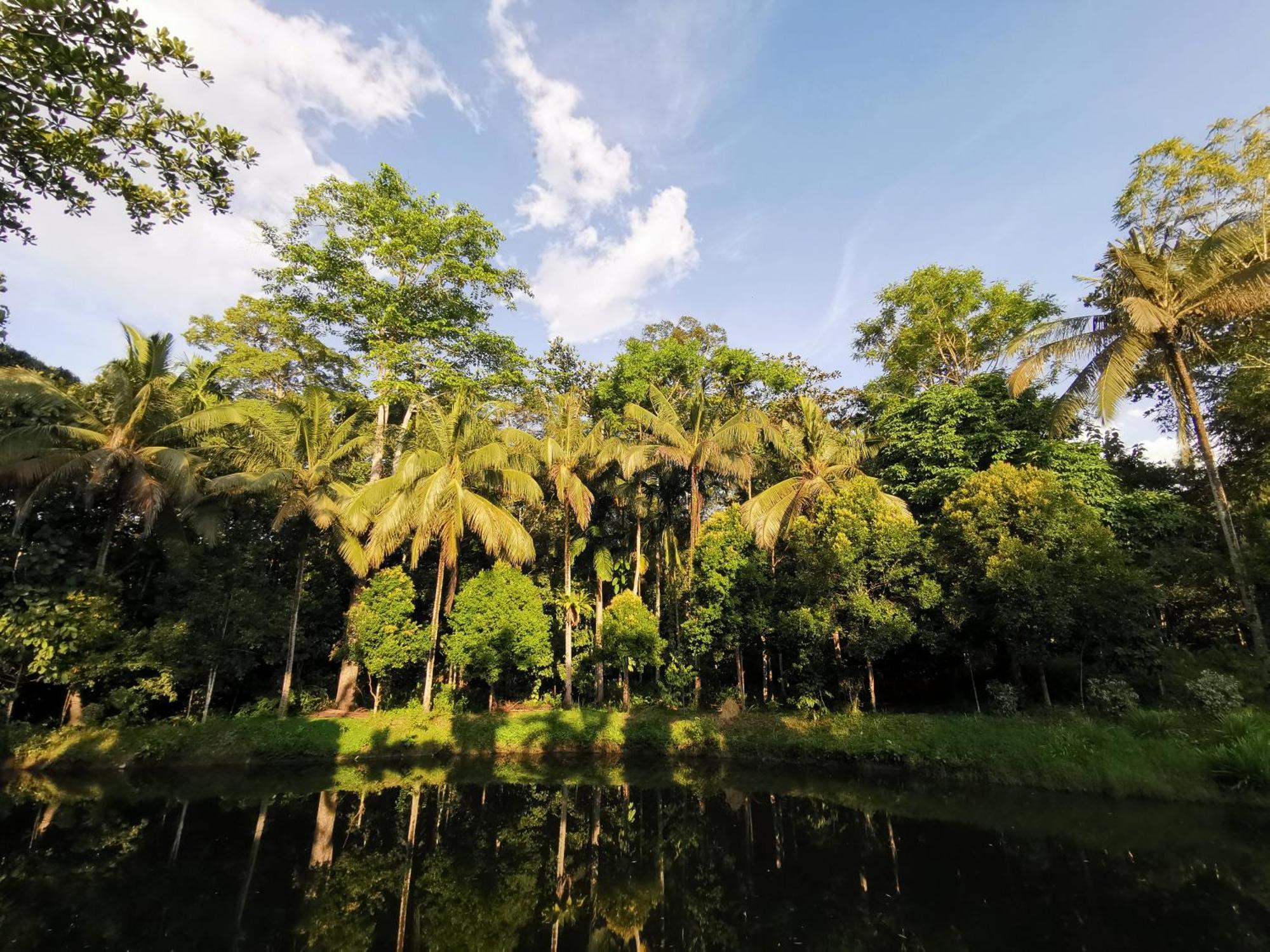 Sepilok Jungle Resort Exterior photo