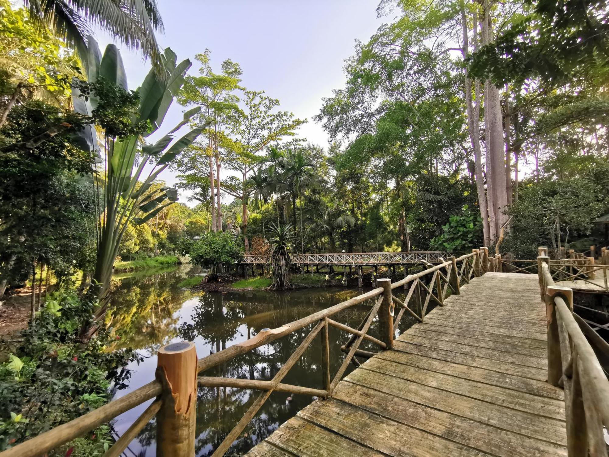 Sepilok Jungle Resort Exterior photo