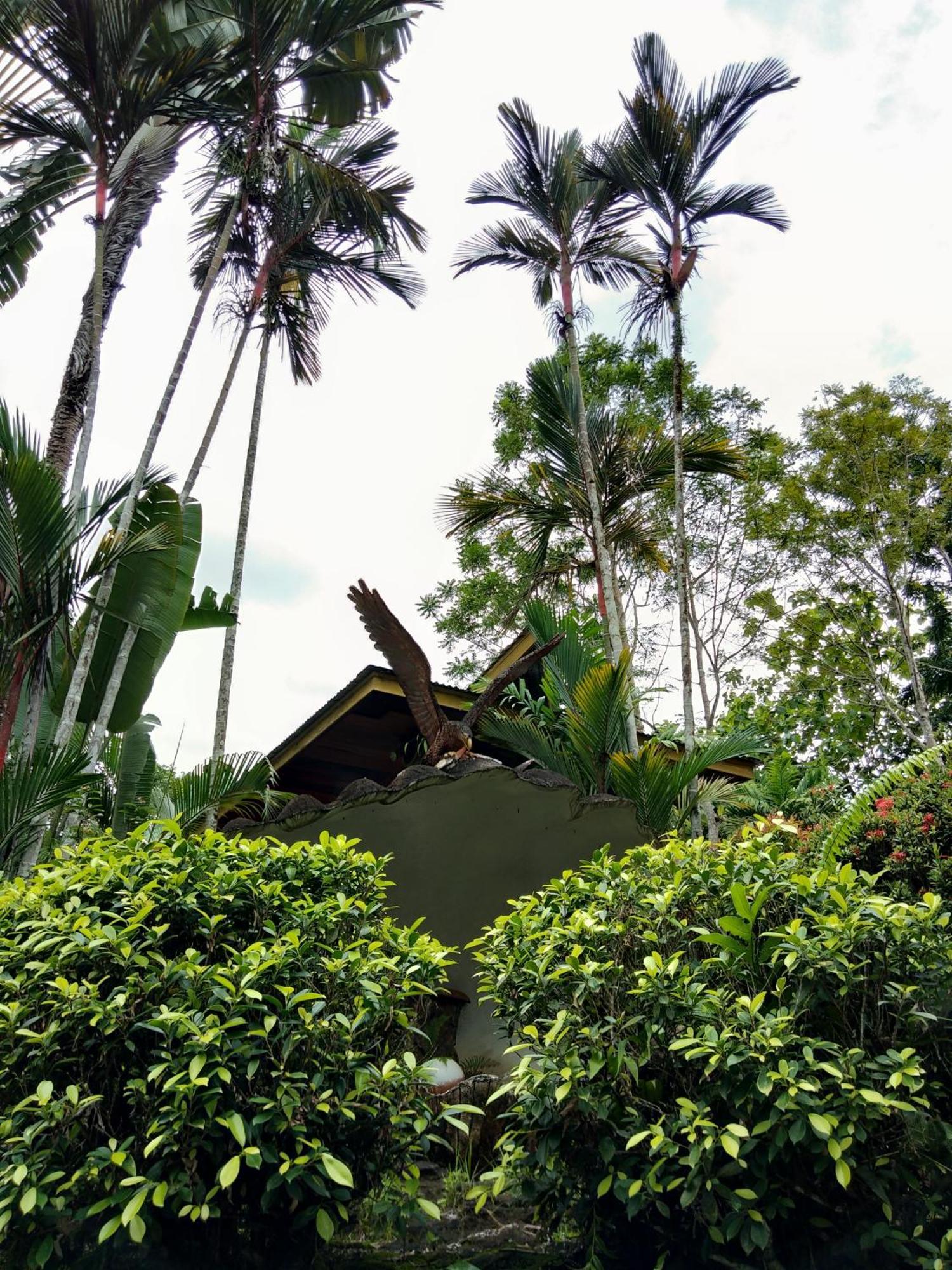 Sepilok Jungle Resort Exterior photo